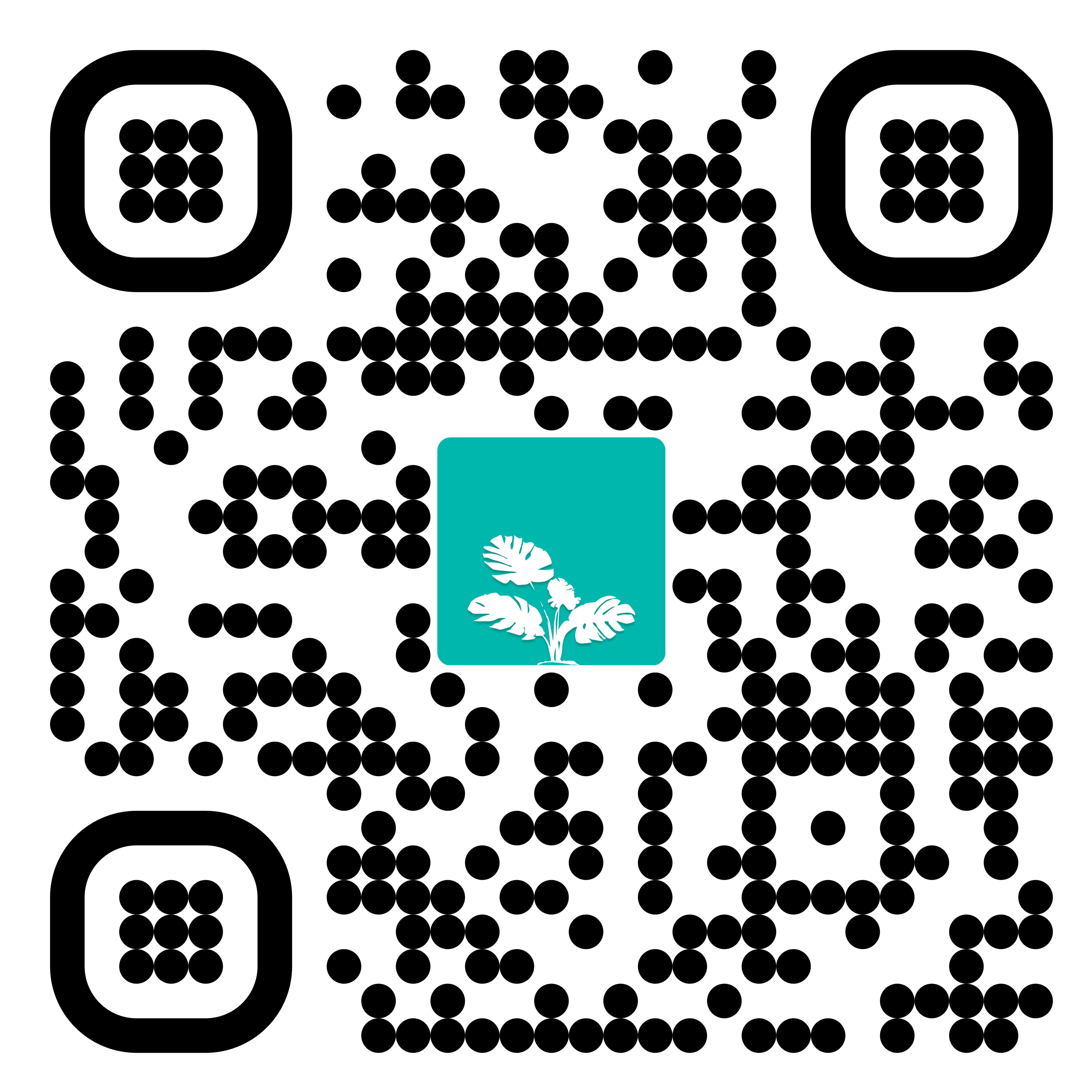 ios qr code